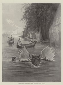 Britanya Kolumbiyası